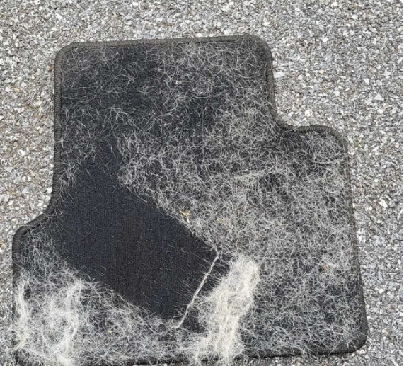 PetsPath™ Glove