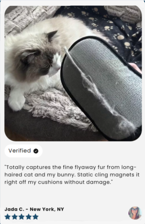PetsPath customer review